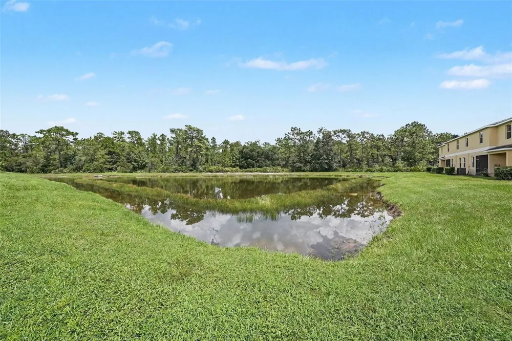 8604 FIDDLELEAF COURT Tampa, FL 33647