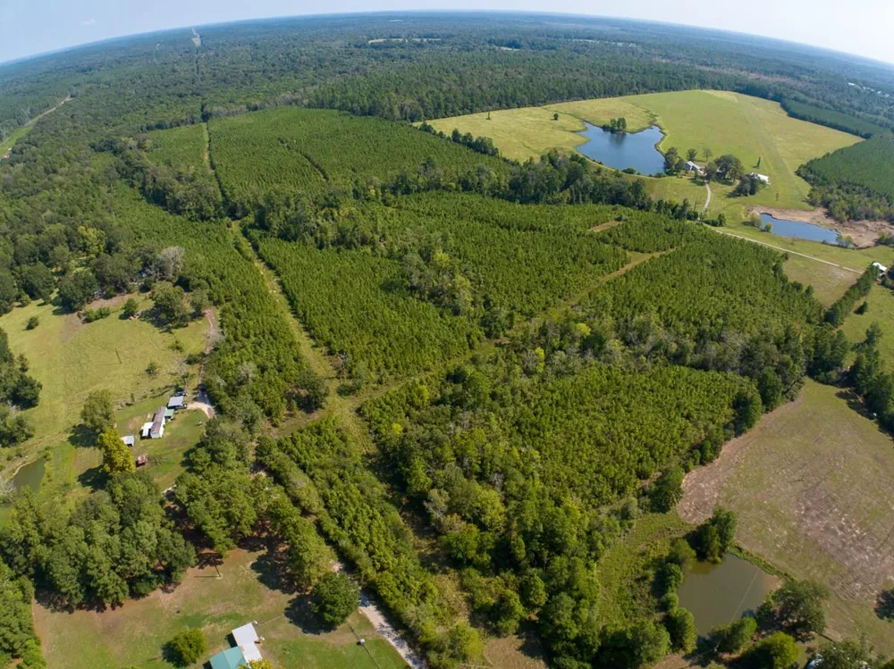Lightfoot Road Lufkin, TX 75901