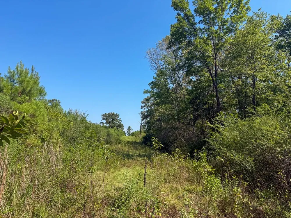 Lightfoot Road Lufkin, TX 75901