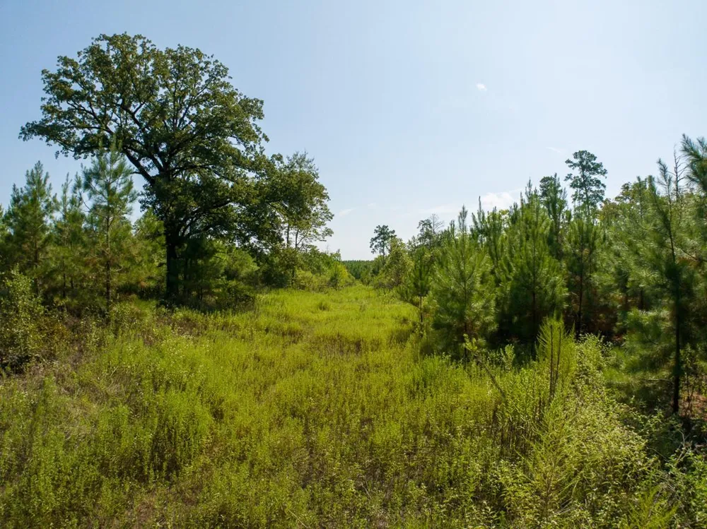Lightfoot Road Lufkin, TX 75901