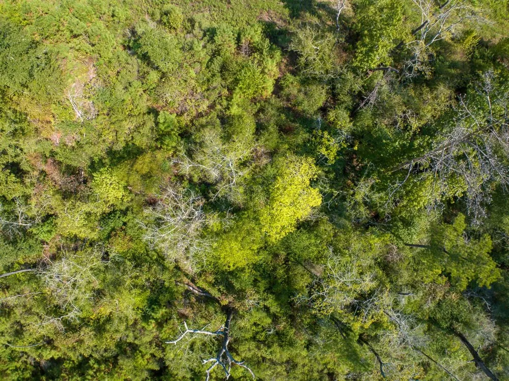 Lightfoot Road Lufkin, TX 75901