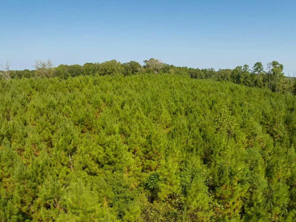 Lightfoot Road Lufkin, TX 75901