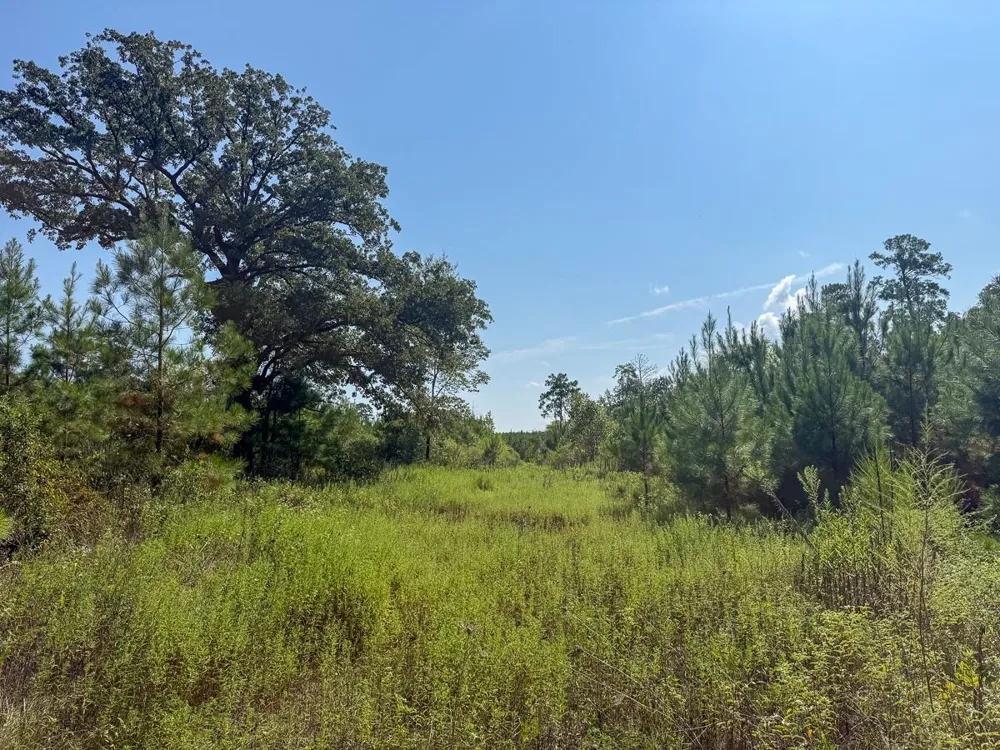 Lightfoot Road Lufkin, TX 75901