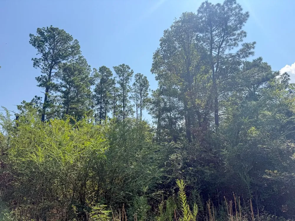 Lightfoot Road Lufkin, TX 75901