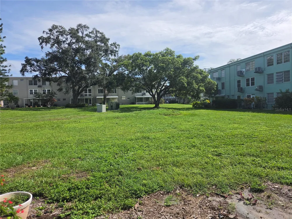 2043 DENMARK STREET #7 Clearwater, FL 33763