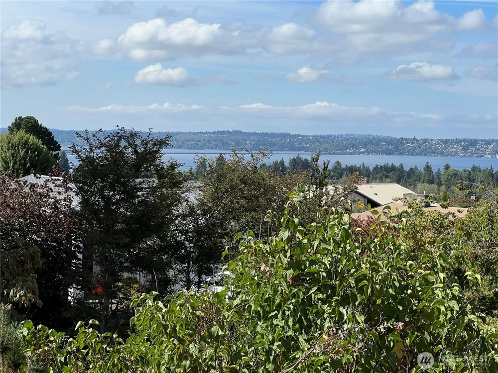 1701 92nd Avenue NE Clyde Hill, WA 98004