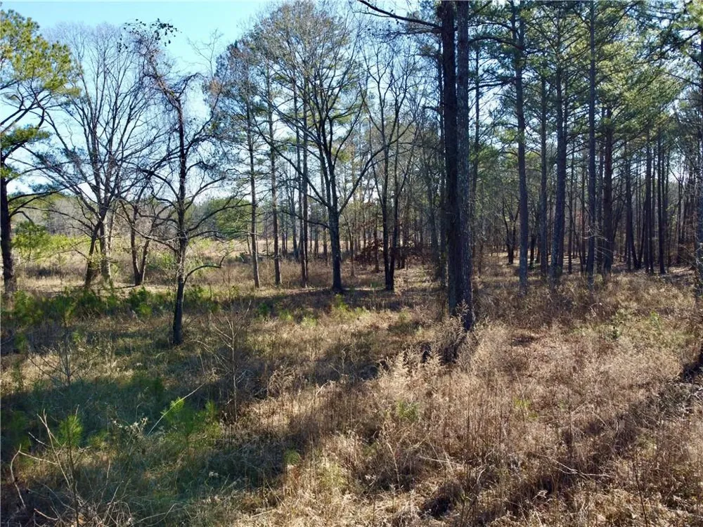 300 Old Social Circle Road Social Circle, GA 30025