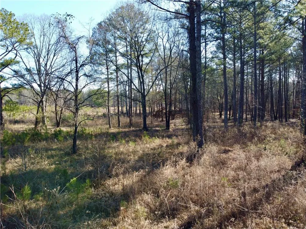 300 Old Social Circle Road Social Circle, GA 30025