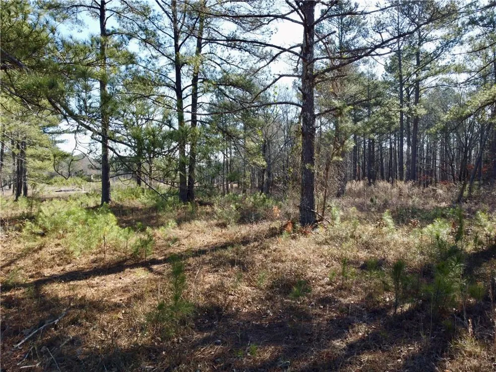 300 Old Social Circle Road Social Circle, GA 30025