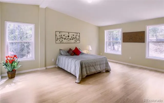 120 Blue Spruce Road Black Hawk, CO 80422