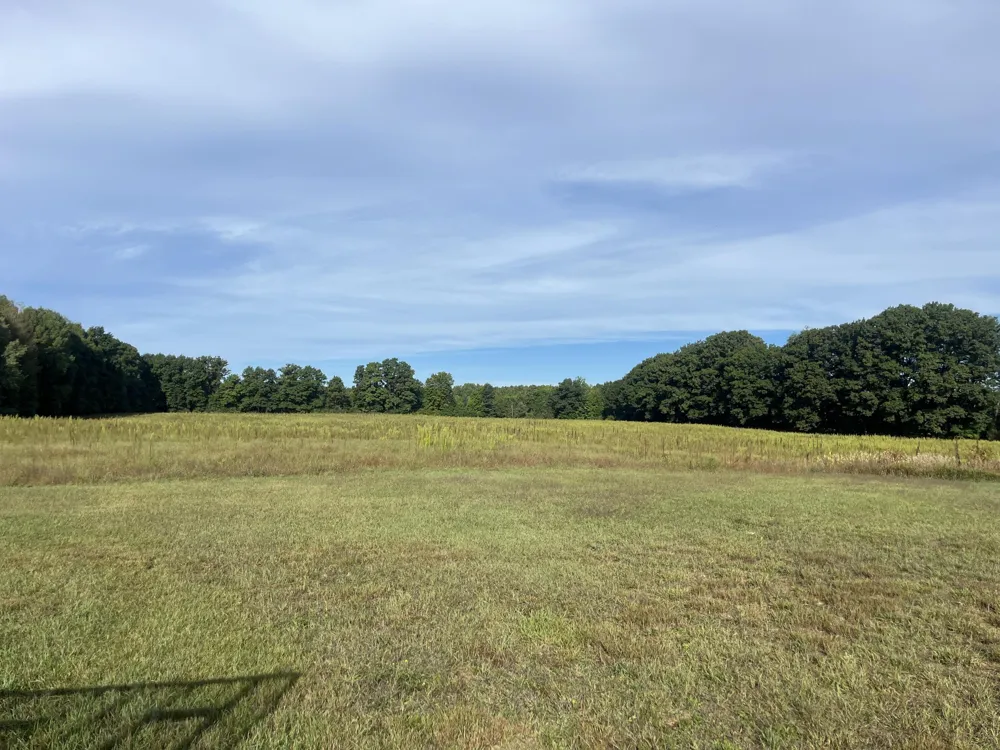 15833 Meddler Avenue NE Cedar Springs, MI 49319