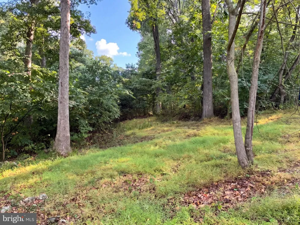 816 HILLTOP LANE Mount Jackson, VA 22842