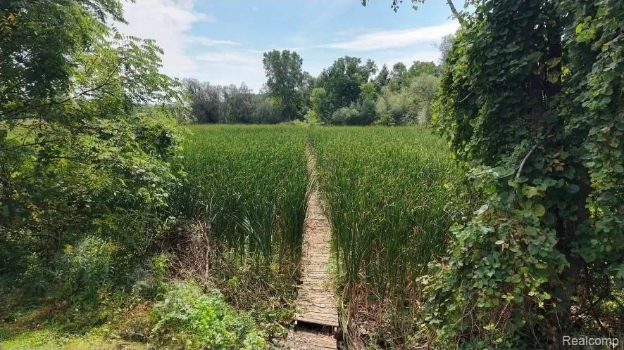 103 W Sherman Street Holly Village, MI 48442