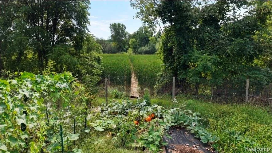 103 W Sherman Street Holly Village, MI 48442