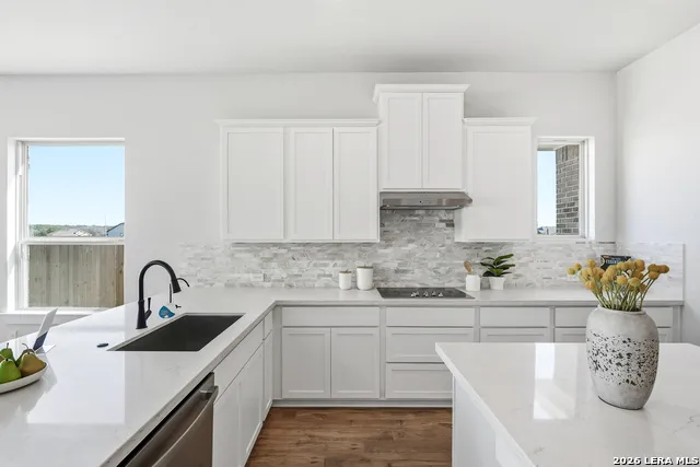 281 Sasparilla Boerne, TX 78006