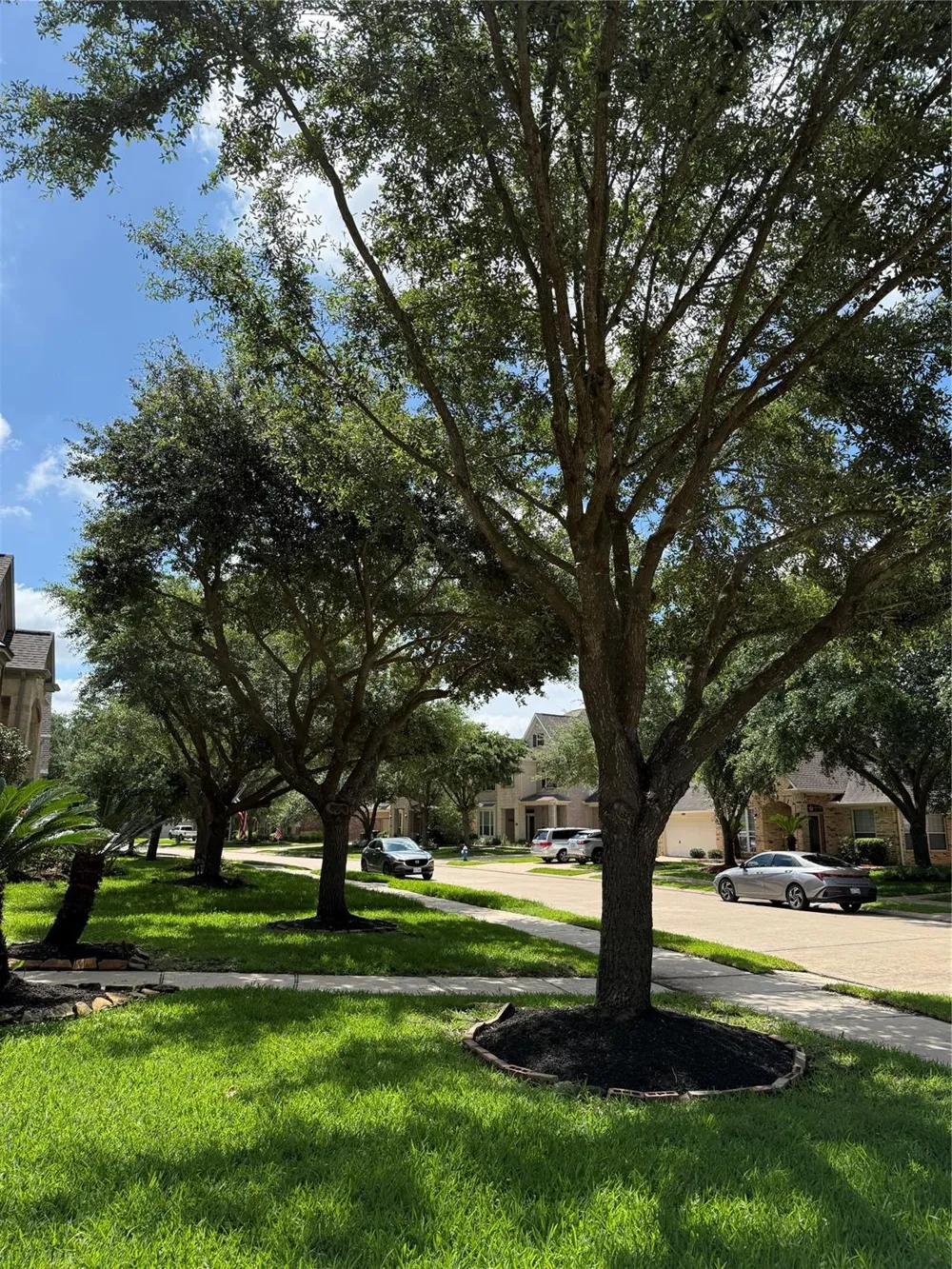 26618 Boulder Cove Court Katy, TX 77494