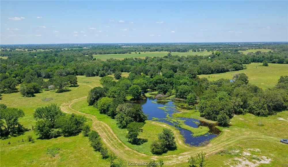 5380 County Road 132 (+/-81acres) Somerville, TX 77879