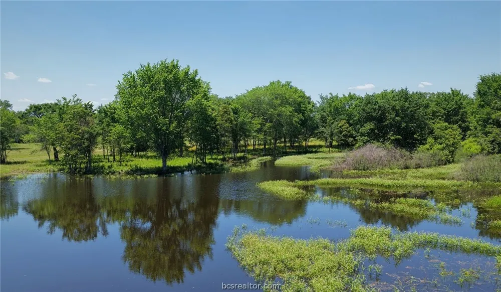 5380 County Road 132 (+/-81acres) Somerville, TX 77879