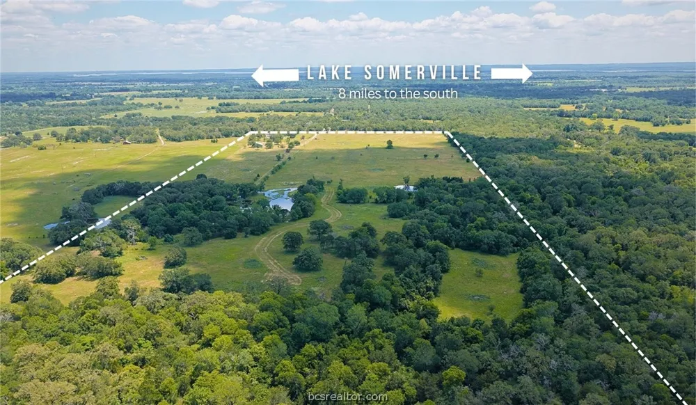 5380 County Road 132 (+/-81acres) Somerville, TX 77879