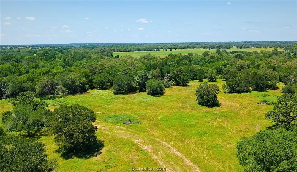 5380 County Road 132 (+/-81acres) Somerville, TX 77879