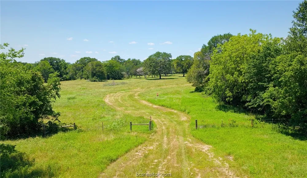 5380 County Road 132 (+/-81acres) Somerville, TX 77879