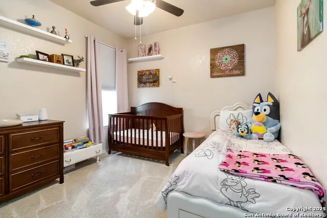 6314 Black Bear San Antonio, TX 78253