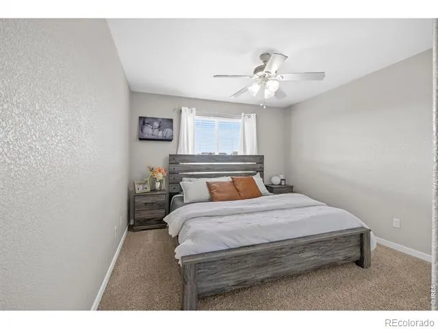 7815 Dry Willow Way Colorado Springs, CO 80908
