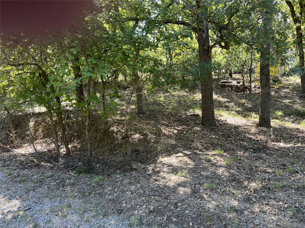 32 Live Oak Drive May, TX 76857