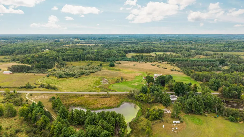 9425 W Coleman Isabella Township, MI 48632