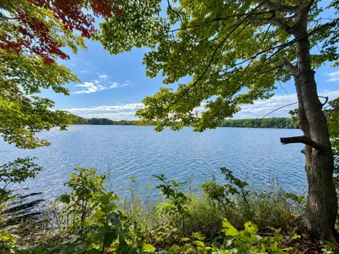 Fox Lake Drive