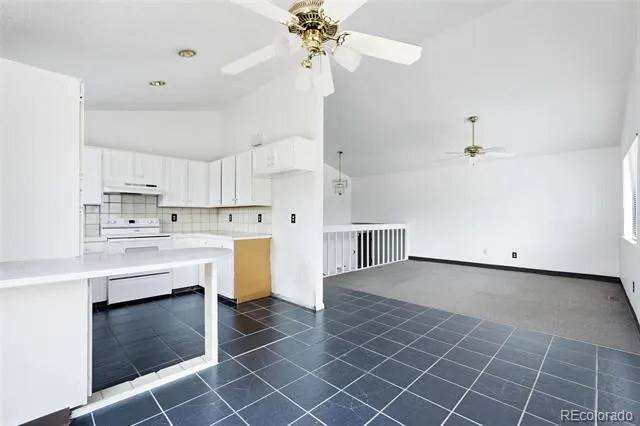 1553 S Carson Street Aurora, CO 80012