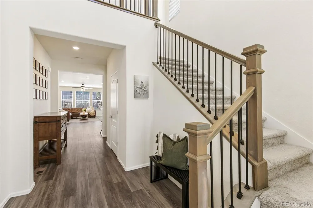 3361 Ireland Moss Street Castle Rock, CO 80109