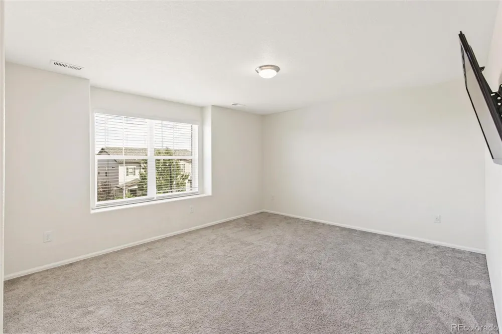 3361 Ireland Moss Street Castle Rock, CO 80109