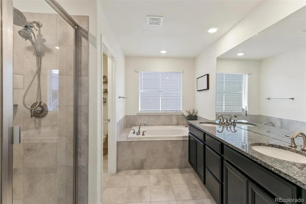 3361 Ireland Moss Street Castle Rock, CO 80109
