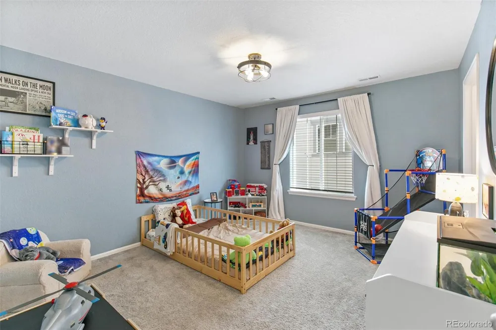 3361 Ireland Moss Street Castle Rock, CO 80109