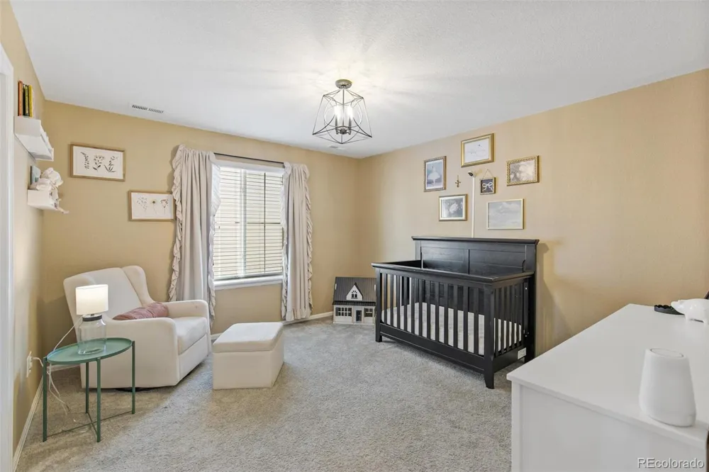 3361 Ireland Moss Street Castle Rock, CO 80109