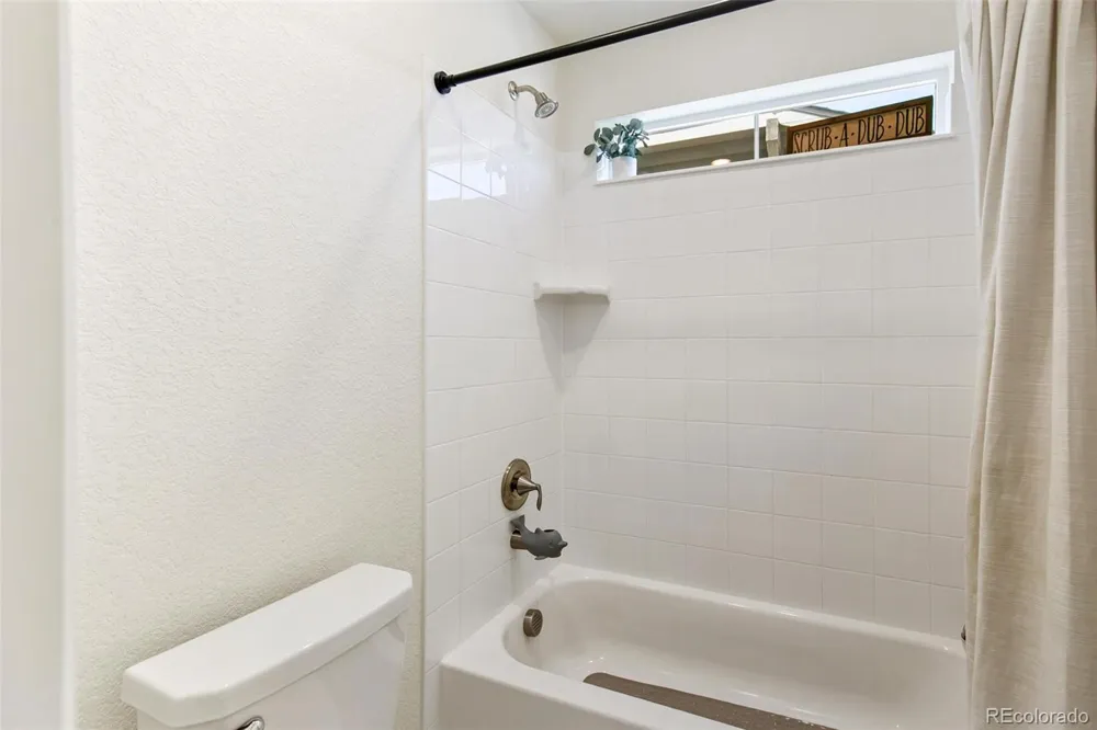 3361 Ireland Moss Street Castle Rock, CO 80109