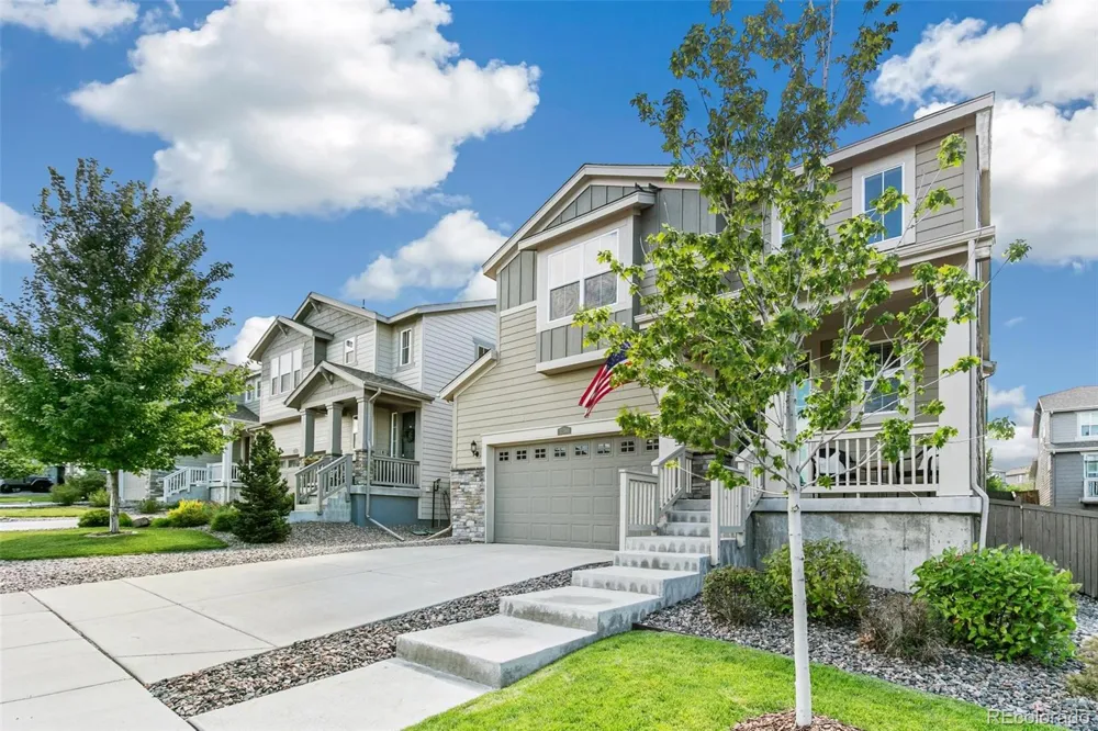 3361 Ireland Moss Street Castle Rock, CO 80109
