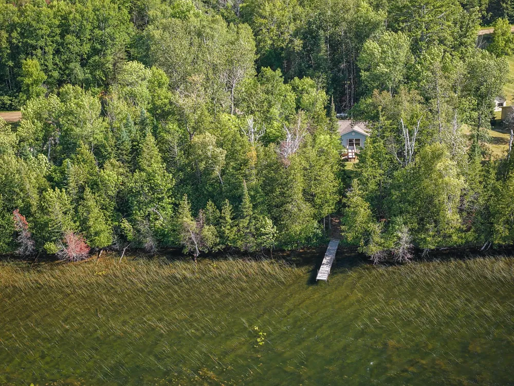 29453 Timberwolf Road NE Pennington, MN 56663