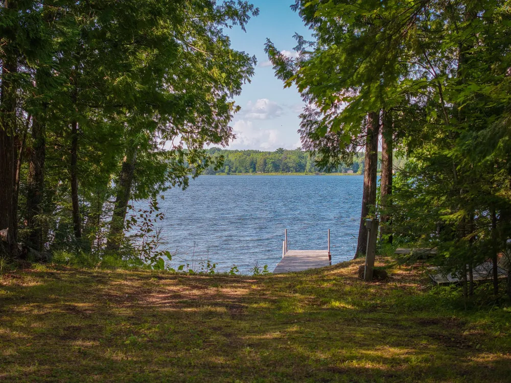 29453 Timberwolf Road NE Pennington, MN 56663