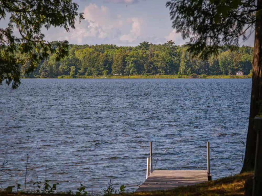 29453 Timberwolf Road NE Pennington, MN 56663