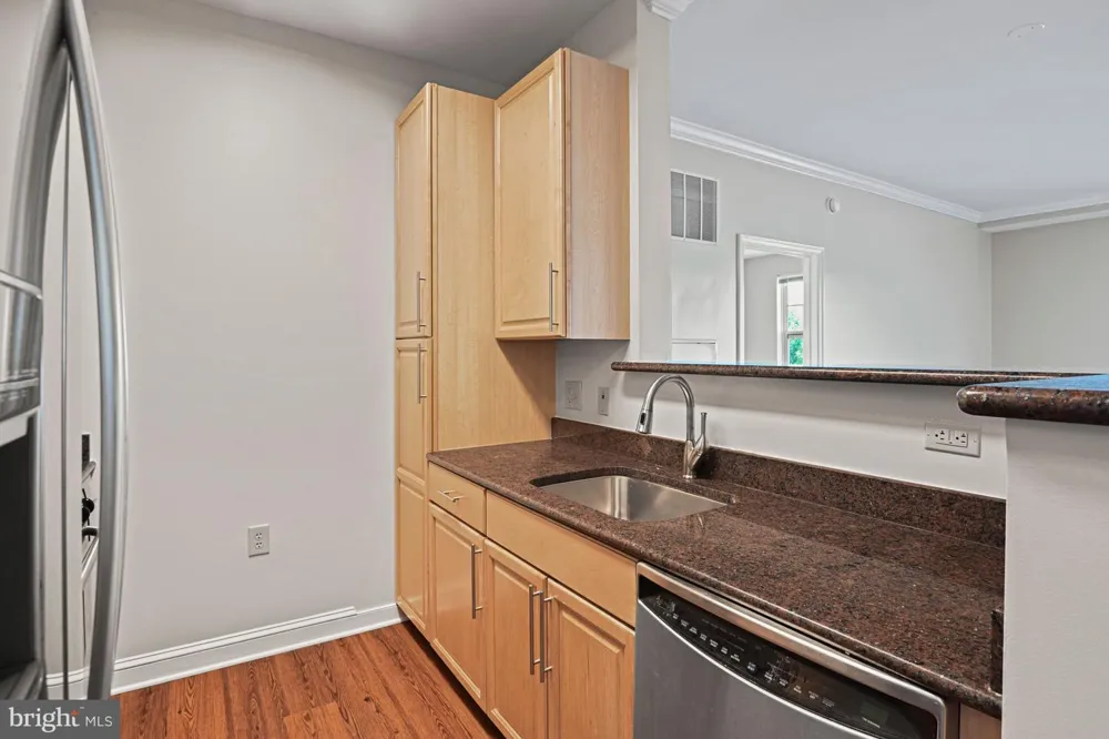 11770 SUNRISE VALLEY #317 Reston, VA 20191