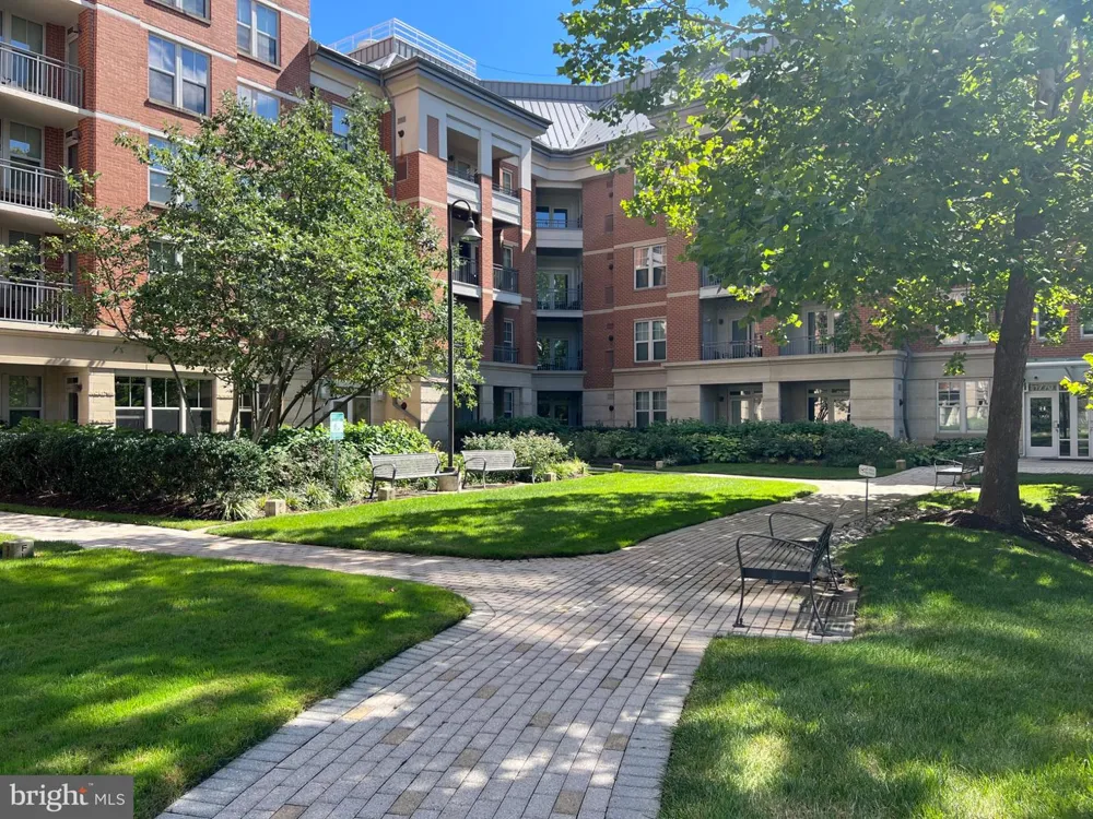 11770 SUNRISE VALLEY #317 Reston, VA 20191