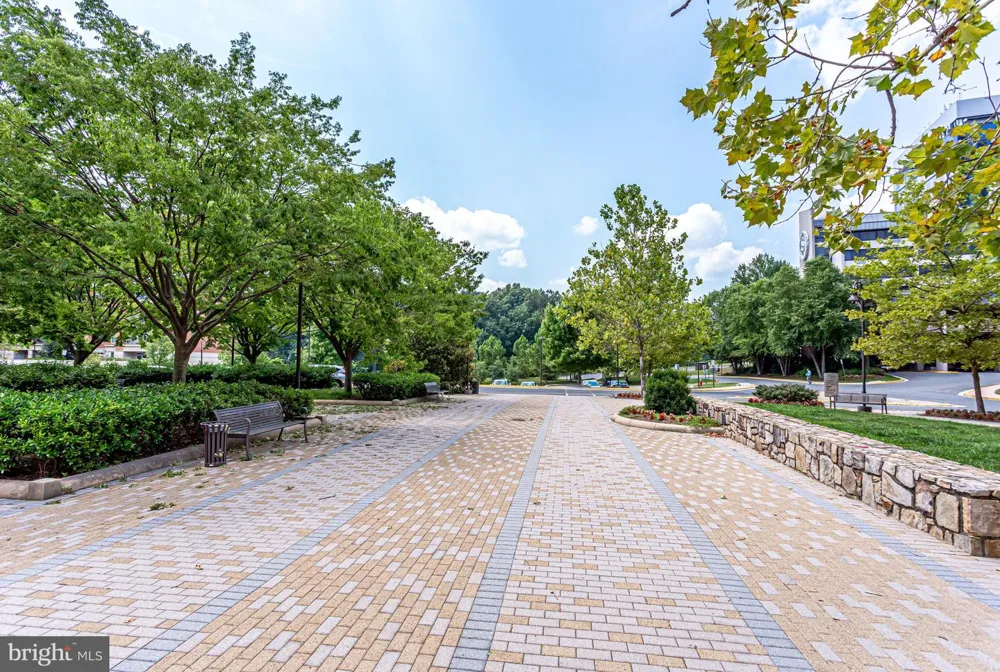 11770 SUNRISE VALLEY #317 Reston, VA 20191