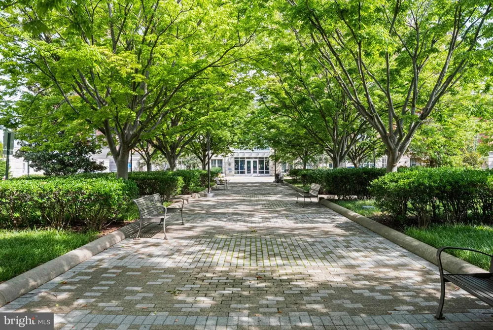 11770 SUNRISE VALLEY #317 Reston, VA 20191