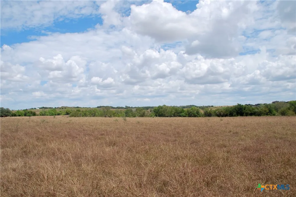 2 County Road 366 Shiner, TX 77984