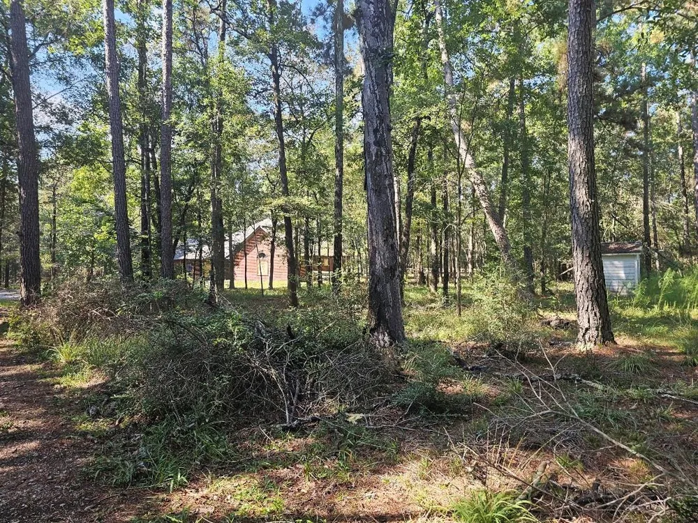 28411 Dobbin Huffsmith Road Magnolia, TX 77354