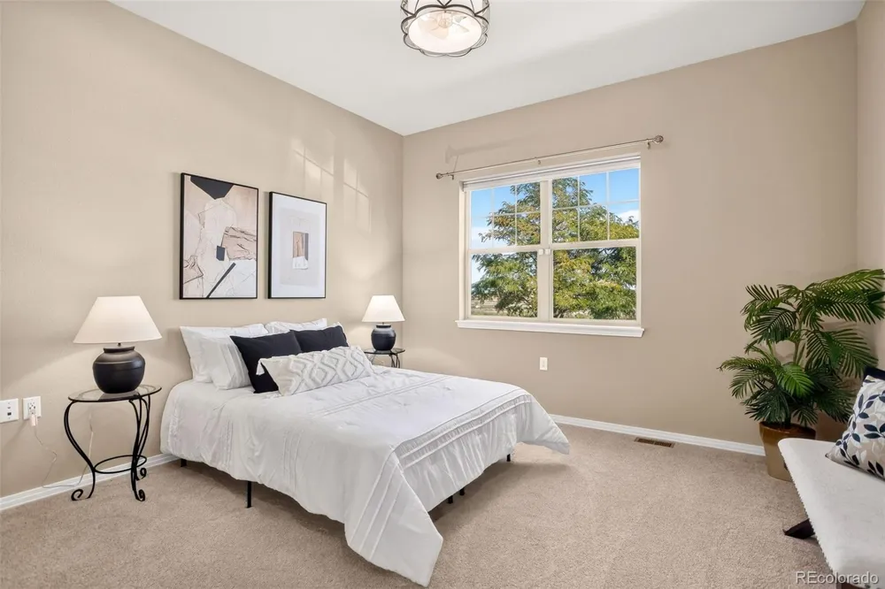 8242 E 55th Place Denver, CO 80238