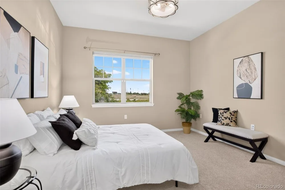 8242 E 55th Place Denver, CO 80238