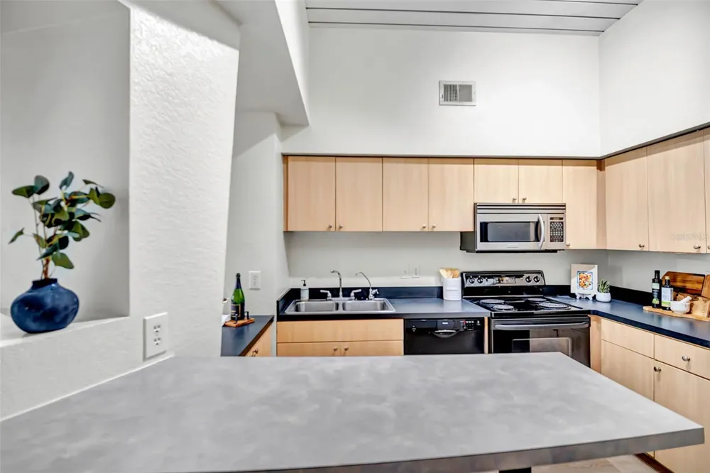520 S ARMENIA AVENUE #1219G Tampa, FL 33609
